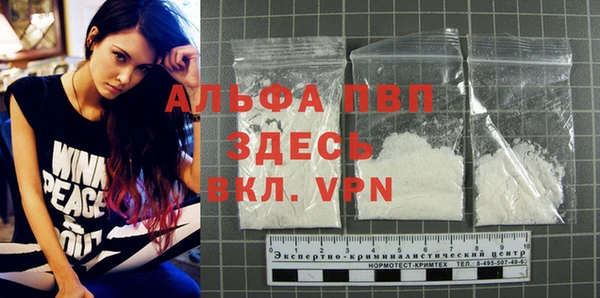 дживик Арсеньев
