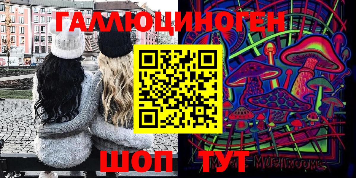 Галлюциногенные грибы Psilocybine cubensis Шуя