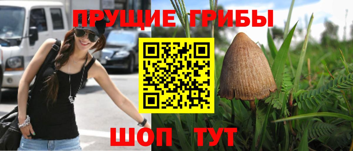 Шуя  Галлюциногенные грибы ЛСД  Вход с VPN 